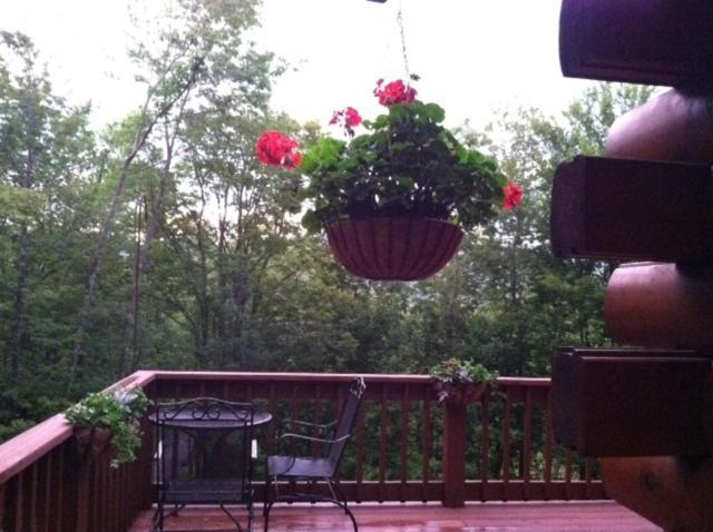 Elka Park The Catskill Cabin מראה חיצוני תמונה